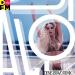 LOBODA - Allo (Denis Bravo Radio Edit)