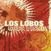 Los Lobos - Grim Grinning Ghosts
