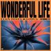 Luca Testa & Lotus - Wonderful Life