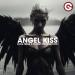 Luca Testa & Tommy Production - Angel Kiss