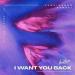Ludvigsson & Vanati feat. Amanda Collis - I Want You Back