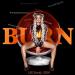 LXE, Gurdji & SDW - Burn