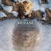 Mads Mikkelsen, Joanna Jones, Folake Olowofoyeku & Disney - Bye Bye