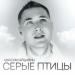 Максим Аршавин - Серые Птицы