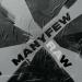 Manyfew - Raw