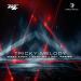 Marc Korn, Semitoo & Phil Praise - Tricky Melody