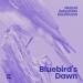Marcel Sebastian Kaufmann - Bluebird's Dawn