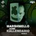Marshmello - Alone (Kallendario Music Remix)