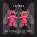 Marshmello & Anne-Marie - FRIENDS (Borgeous Remix)