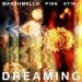 Marshmello feat. P!nk & Sting - Dreaming