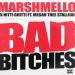 Marshmello & Nitti Gritti feat. Megan Thee Stallion - Bad Bitches
