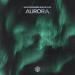 Martin Garrix feat. Blinders - Aurora