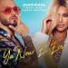 Massari feat. Maya Diab & French Montana - Ya Nour El Ein (Adium Remix)
