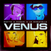 MATTN & Danko & Le Donatella - Venus