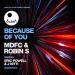 MDFC & Robin S feat. J Nitti - Because Of You J Nitti Remix
