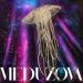 MEDUZOVA - Тучи