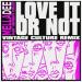Mella Dee & Infinite Coles feat. Infinite Coles - Love It Or Not (Vintage Culture Remix)