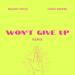 Melody Joyce feat. Going Deeper - Won't give up (Remix)