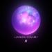 Mersiv - Looking Inward