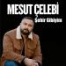 Mesut Çelebi - Şehir Gibiyim
