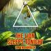 Micar & Jash - The Lion Sleeps Tonight (In The Jungle)