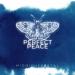 MIDNIGHTPØRTAL & Johny Luv - Perfect Peace
