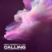 Mike Demero & Lou feat. Sam Feldt & Dynoro - Calling (With Sam Feldt & Dynoro) (Vf)
