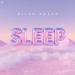 Milan Smaer - Sleep