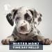 Mister Monj - Time Say Hello