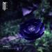 MitiS feat. Zack Gray - Hurt (feat. Zack Gray)