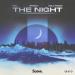 MKJ feat. Rayasa x Able Faces - The Night