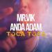 Mr. Vik feat. Anda Adam - Toca Toca