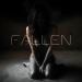 MSE - Fallen