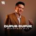 Muhammad Rizo - Dupur-dupur