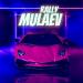 MULAEV - Rally