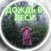 Музыка для дождливого дня на природе - Палатка под дождём