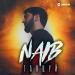 NAIB - Танцуй