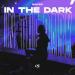 NALYRO - In The Dark (Extended Mix)
