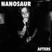 Nanosaur - Afters
