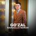 Narzullo Norov - Go'zal