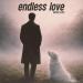 Nayio Bitz - Endless Love