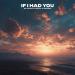 NE DALEN & SMRQND & PACANI - If I Had You