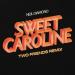 Neil Diamond & Two Friends - Sweet Caroline (Two Friends Remix)