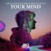 Nerds At Raves, Just Mike™ & Chris van Dutch - Your Mind