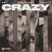 NERVO, Plastik Funk & Elle Vee - Crazy