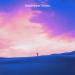 Netsky feat. Jazmine Johnson - Hell In High Heels (Basstripper Remix)