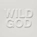 Nick Cave & The Bad Seeds - Wild God