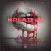 Nick Giardino, Pascal Sebastian, Ally Jax feat. FVTM - Breathin