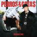 Nicki Nicole feat. Saiko - PERROSGATAS