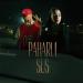 Nicole Cherry & Puya - Paharul sus